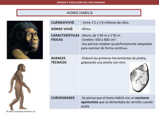 ORIGEN Y EVOLUCIÓN DEL SER HUMANO

HOMO HABILIS
CUÁNDOVIVIÓ

- Entre 2’5 y 1’6 millones de años.

DÓNDE VIVIÓ

-África

CARACTERÍSTICAS -Altura: de 1’40 m a 1’50 m.
FÍSICAS
-Cerebro: 650 a 800 cm3.
-Sus piernas estaban ya perfectamente adaptadas
para caminar de forma con nua.
AVANCES
TÉCNICOS

-Elaboró las primeras herramientas de piedra,
golpeando una piedra con otra.

CURIOSIDADES

-Se piensa que el homo habilis era un carnívoro
oportunista que se alimentaba de carroña cuando
podía.

 