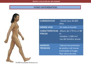 ORIGEN Y EVOLUCIÓN DEL SER HUMANO

HOMO SAPIENSSAPIENS

CUÁNDOVIVIÓ

- Desde hace 40.000
años.

DÓNDE VIVE

-En todo el mundo

CARACTERÍSTICAS -Altura: de 1’70 m a 1’80
FÍSICAS
m.
-Cerebro: 1.500 cm3.
-Las del hombre actual.
AVANCES
TÉCNICOS

-Fabricó herramientas
de piedra y de hueso.
Controlaba el fuego.
Hizo obras de arte.

 