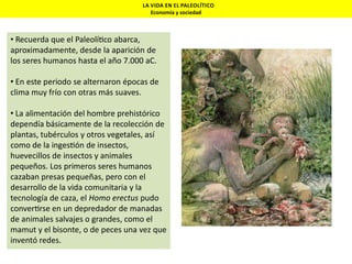 LA VIDA EN EL PALEOLÍTICO
Economía y sociedad

• Recuerda que el Paleolí co abarca,
aproximadamente, desde la aparición de
los seres humanos hasta el año 7.000 aC.
• En este periodo se alternaron épocas de
clima muy frío con otras más suaves.

• La alimentación del hombre prehistórico
dependía básicamente de la recolección de
plantas, tubérculos y otros vegetales, así
como de la inges ón de insectos,
huevecillos de insectos y animales
pequeños. Los primeros seres humanos
cazaban presas pequeñas, pero con el
desarrollo de la vida comunitaria y la
tecnología de caza, el Homo erectus pudo
conver rse en un depredador de manadas
de animales salvajes o grandes, como el
mamut y el bisonte, o de peces una vez que
inventó redes.

 