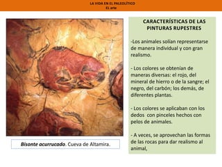 LA VIDA EN EL PALEOLÍTICO
EL arte

CARACTERÍSTICAS DE LAS
PINTURAS RUPESTRES
-Los animales solían representarse
de manera individual y con gran
realismo.
- Los colores se obtenían de
maneras diversas: el rojo, del
mineral de hierro o de la sangre; el
negro, del carbón; los demás, de
diferentes plantas.
- Los colores se aplicaban con los
dedos con pinceles hechos con
pelos de animales.

Bisonte acurrucado. Cueva de Altamira.

- A veces, se aprovechan las formas
de las rocas para dar realismo al
animal,

 
