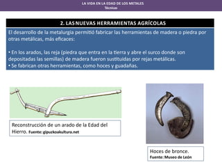 LA VIDA EN LA EDAD DE LOS METALES
Técnicas

2. LAS NUEVAS HERRAMIENTAS AGRÍCOLAS
El desarrollo de la metalurgia permi ó fabricar las herramientas de madera o piedra por
otras metálicas, más eﬁcaces:
• En los arados, las reja (piedra que entra en la erra y abre el surco donde son
depositadas las semillas) de madera fueron sus tuidas por rejas metálicas.
• Se fabrican otras herramientas, como hoces y guadañas.

Reconstrucción de un arado de la Edad del
Hierro. Fuente: gipuzkoakultura.net

Hoces de bronce.
Fuente: Museo de León

 