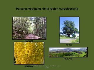 Paisajes vegetales de la región eurosiberiana
HAYEDO
ROBLE
RETAMA
PRADOS
Marta López Rodríguez, Ave María Casa
Madre
 
