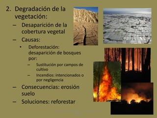 2. Degradación de la
vegetación:
– Desaparición de la
cobertura vegetal
– Causas:
• Deforestación:
desaparición de bosques
por:
– Sustitución por campos de
cultivo
– Incendios: intencionados o
por negligencia
– Consecuencias: erosión
suelo
– Soluciones: reforestar
Marta López Rodríguez, Ave María Casa
Madre
 