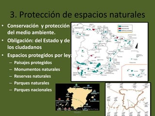 3. Protección de espacios naturales
• Conservación y protección
del medio ambiente.
• Obligación: del Estado y de
los ciudadanos
• Espacios protegidos por ley:
– Paisajes protegidos
– Monumentos naturales
– Reservas naturales
– Parques naturales
– Parques nacionales
Marta López Rodríguez, Ave María Casa
Madre
 