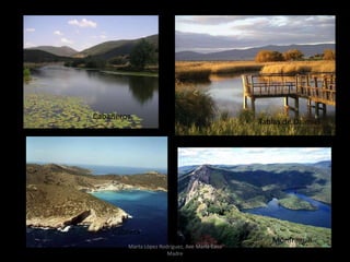 Cabañeros
Tablas de Daimiel
Cabrera
Monfrague
Marta López Rodríguez, Ave María Casa
Madre
 