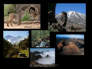 Doñana
Teide
Caldera Taburiente
Timanfaya
Garajonay
Sierra Nevada
Marta López Rodríguez, Ave María Casa
Madre
 
