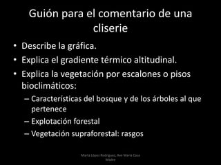 Guión para el comentario de una
cliserie
• Describe la gráfica.
• Explica el gradiente térmico altitudinal.
• Explica la vegetación por escalones o pisos
bioclimáticos:
– Características del bosque y de los árboles al que
pertenece
– Explotación forestal
– Vegetación supraforestal: rasgos
Marta López Rodríguez, Ave María Casa
Madre
 