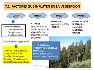 Prof. ISAAC BUZO SÁNCHEZ
7.2. FACTORES QUE INFLUYEN EN LA VEGETACIÓN
CLIMA RELIEVE SUELO HOMBRE
Termófila: climas cálidos
Criófila: climas fríos
Xerofila: climas secos
Higrófila: climas húmedos
Umbrófila: zonas sombrías
• PISOS
BIOCLIMÁTICOS:
escalonamiento de
vegetación por el
gradiente térmico
altitudinal
•INTRODUCCIÓN
DE ESPECIES
(eucalipto)
•MODIFICA
PAISAJES
•SALINIDAD:
Vegetación halófila
•ACIDEZEl más importante:
• Precipitaciones
•Temperaturas
•Insolación (luz)
Clasificación vegetación
• ORIENTACIÓN
VERTIENTES O LADERAS
MONTAÑA:
Solana (cálida y seca)
Umbría (fresca y húmeda)
Marta López Rodríguez, Ave María Casa
Madre
 