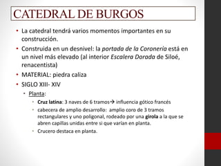 CATEDRAL DE BURGOS
• La catedral tendrá varios momentos importantes en su
construcción.
• Construida en un desnivel: la portada de la Coronería está en
un nivel más elevado (al interior Escalera Dorada de Siloé,
renacentista)
• MATERIAL: piedra caliza
• SIGLO XIII- XIV
• Planta:
• Cruz latina: 3 naves de 6 tramos influencia gótico francés
• cabecera de amplio desarrollo: amplio coro de 3 tramos
rectangulares y uno poligonal, rodeado por una girola a la que se
abren capillas unidas entre si que varían en planta.
• Crucero destaca en planta.
 