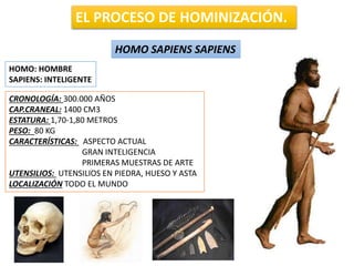 EL PROCESO DE HOMINIZACIÓN.
HOMO SAPIENS SAPIENS
HOMO: HOMBRE
SAPIENS: INTELIGENTE
CRONOLOGÍA: 300.000 AÑOS
CAP.CRANEAL: 1400 CM3
ESTATURA: 1,70-1,80 METROS
PESO: 80 KG
CARACTERÍSTICAS: ASPECTO ACTUAL
GRAN INTELIGENCIA
PRIMERAS MUESTRAS DE ARTE
UTENSILIOS: UTENSILIOS EN PIEDRA, HUESO Y ASTA
LOCALIZACIÓN TODO EL MUNDO
 