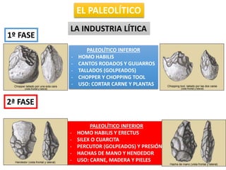 EL PALEOLÍTICO
LA INDUSTRIA LÍTICA
PALEOLÍTICO INFERIOR
- HOMO HABILIS
- CANTOS RODADOS Y GUIJARROS
- TALLADOS (GOLPEADOS)
- CHOPPER Y CHOPPING TOOL
- USO: CORTAR CARNE Y PLANTAS
1º FASE
2ª FASE
PALEOLÍTICO INFERIOR
- HOMO HABILIS Y ERECTUS
- SILEX O CUARCITA
- PERCUTOR (GOLPEADOS) Y PRESIÓN
- HACHAS DE MANO Y HENDEDOR
- USO: CARNE, MADERA Y PIELES
 