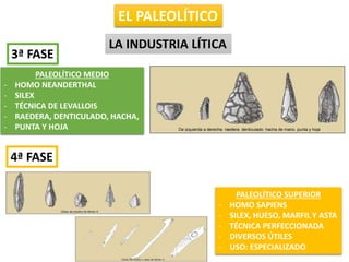 EL PALEOLÍTICO
LA INDUSTRIA LÍTICA
PALEOLÍTICO MEDIO
- HOMO NEANDERTHAL
- SILEX
- TÉCNICA DE LEVALLOIS
- RAEDERA, DENTICULADO, HACHA,
- PUNTA Y HOJA
3ª FASE
4ª FASE
PALEOLÍTICO SUPERIOR
- HOMO SAPIENS
- SILEX, HUESO, MARFIL Y ASTA
- TÉCNICA PERFECCIONADA
- DIVERSOS ÚTILES
- USO: ESPECIALIZADO
 