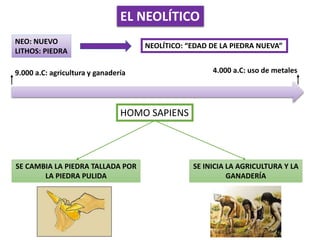 EL NEOLÍTICO
NEO: NUEVO
LITHOS: PIEDRA
NEOLÍTICO: “EDAD DE LA PIEDRA NUEVA”
9.000 a.C: agricultura y ganadería
HOMO SAPIENS
4.000 a.C: uso de metales
SE CAMBIA LA PIEDRA TALLADA POR
LA PIEDRA PULIDA
SE INICIA LA AGRICULTURA Y LA
GANADERÍA
 