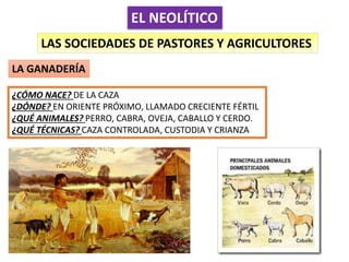 EL NEOLÍTICO
LAS SOCIEDADES DE PASTORES Y AGRICULTORES
LA GANADERÍA
¿CÓMO NACE? DE LA CAZA
¿DÓNDE? EN ORIENTE PRÓXIMO, LLAMADO CRECIENTE FÉRTIL
¿QUÉ ANIMALES? PERRO, CABRA, OVEJA, CABALLO Y CERDO.
¿QUÉ TÉCNICAS? CAZA CONTROLADA, CUSTODIA Y CRIANZA
 
