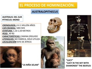 EL PROCESO DE HOMINIZACIÓN.
AUSTRALOPITHECUS
AUSTRALIS: DEL SUR
PITHECUS: MONO
CRONOLOGÍA: 4 A 1 MILLÓN AÑOS
CAP.CRANEAL: 500 CM3
ESTATURA: 1,10-1,50 METROS
PESO: 40 KG
CARACTERÍSTICAS: CAMINA ERGUIDO
UTENSILIOS: NO FABRICA, SÓLO UTILIZA
LOCALIZACIÓN ESTE DE ÁFRICA
“LUCY”
“LUCY IN THE SKY WITH
DIAMONDS” THE BEATLES“LA NIÑA SELAM”
 