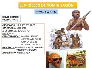 EL PROCESO DE HOMINIZACIÓN.
HOMO ERECTUS
HOMO: HOMBRE
ERECTUS: RECTO
CRONOLOGÍA: 1,8 A 300.000 AÑOS
CAP.CRANEAL: 1000 CM3
ESTATURA: 1,60-1,70 METROS
PESO: 60 KG
CARACTERÍSTICAS: CAMINA ERGUIDO
CONTROLA EL FUEGO
CAZA EN GRUPO
SE CUBRE CON PIELES
UTENSILIOS: PRIMEROS BIFACES Y HACHAS
CONSTRUYE CABAÑAS
LOCALIZACIÓN ÁFRICA Y ASIA
 