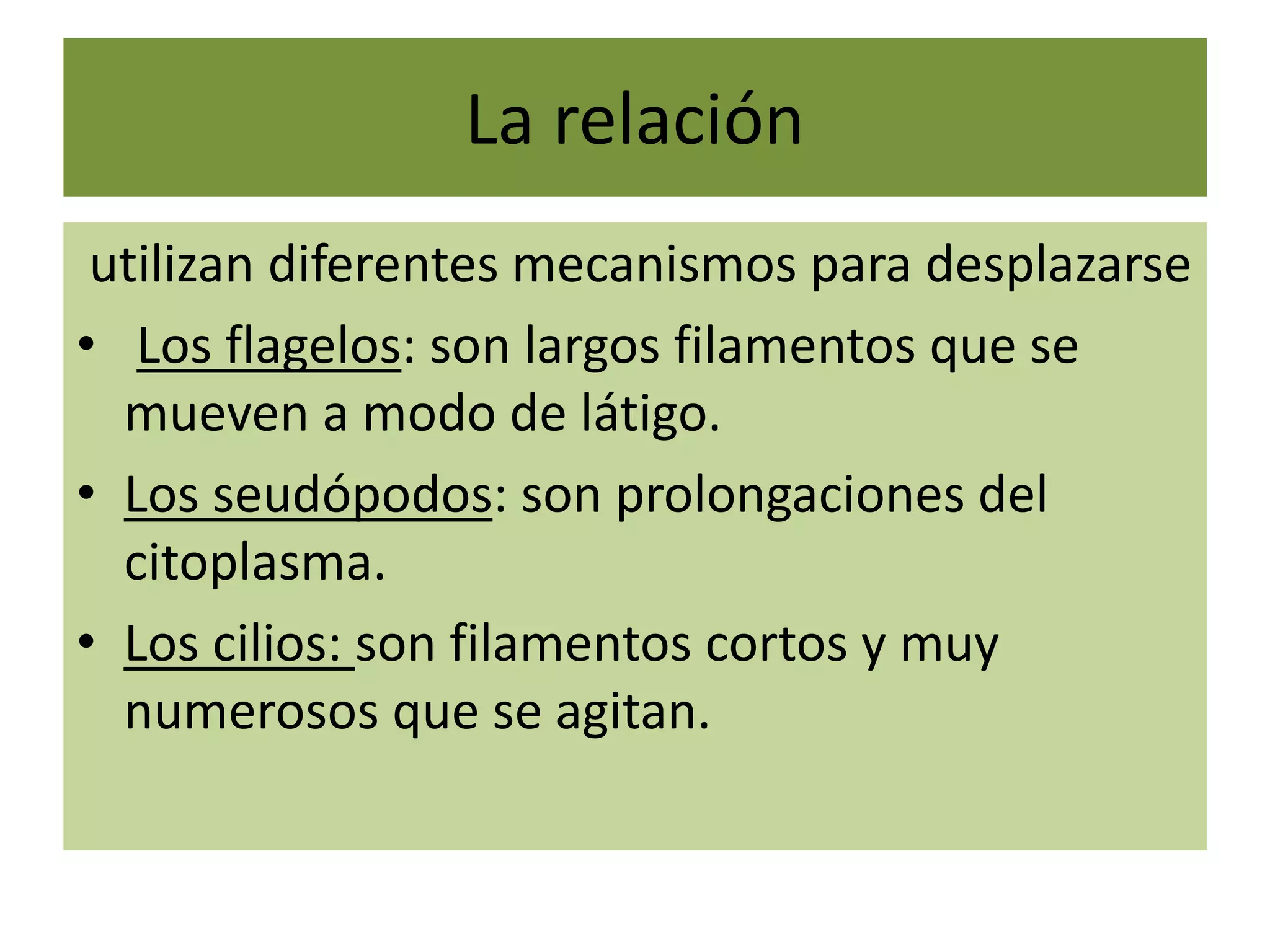 Tema 7. moneras, protozoos y hongos | PPTX