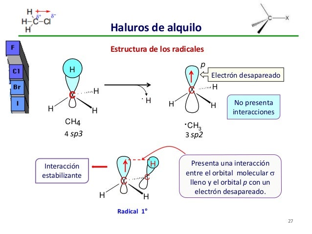 Estructura De Los Halogenuros De Alquilo Varias Estructuras