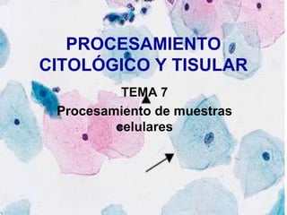 PROCESAMIENTO
CITOLÓGICO Y TISULAR
TEMA 7
Procesamiento de muestras
celulares
 