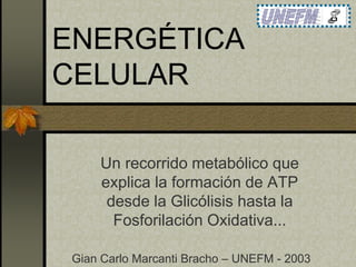 ENERGÉTICA
CELULAR
Un recorrido metabólico que
explica la formación de ATP
desde la Glicólisis hasta la
Fosforilación Oxidativa...
Gian Carlo Marcanti Bracho – UNEFM - 2003
 