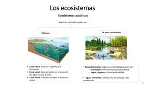 Los ecosistemas
17
Ecosistemas acuáticos
Según su salinidad pueden ser
Marinos De aguas continentales
• Zona fótica. Es la más superficial e
iluminada.
• Zona batial. Apenas recibe luz y la presión
del agua es muy grande.
• Zona abisal. Caracterizada por la ausencia
de luz.
• Aguas tranquilas. Según su profundidad pueden ser:
• Humedales. Presentan poca profundidad.
• Lagos y lagunas. Mayor.profundidad.
• Aguas corrientes. Son los ríos, los arroyos y los
manantiales.
 