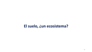 18
El suelo, ¿un ecosistema?
 