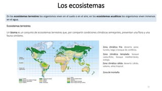 Los ecosistemas
15
En los ecosistemas terrestres los organismos viven en el suelo o en el aire; en los ecosistemas acuátic...