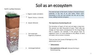 Soil as an ecosystem
19
0
A
B
C
R
The external layer of the Earth´s Surface is formed of loose
materials. It has lots of air and water. Plants roots
themselves in the soil and animals mix the soil as they
move, adding moistute and gases.
There are two main causes of damage to, or the
deterioration of, soil:
• Deforestation.
• Overexploitation of the soil: intensive farming or
livestock grazing.
The importance of protecting the soil
The formation of layers of rock and soil takes a long time.
The process can take thousands of years. That's why any
change can have severe consequences for the living things
that it supports. For example, if the ground loses its
vegetation cover, it's more exposed to the effects of wind
and water and so erosion increases.
Unchanged bedrock
Soil mixed with
fragments of bedrock
Subsoil. Minerals
Topsoil. Humus + minerals
Organic matter and debris
Earth´s surface horizons
 