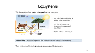 Ecosystems
10
A trophic level is a group of organisms that obtain matter and anergy in the same way.
• The Sun is the main...