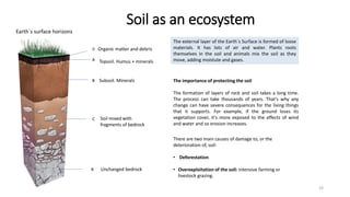 Soil as an ecosystem
19
0
A
B
C
R
The external layer of the Earth´s Surface is formed of loose
materials. It has lots of a...