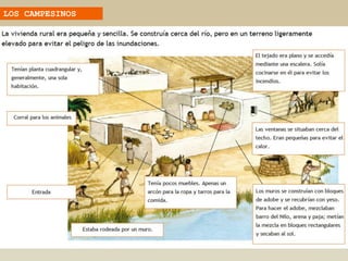 LOS CAMPESINOS
 