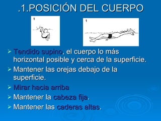 .1.POSICIÓN DEL CUERPO Tendido supino , el cuerpo lo más horizontal posible y cerca de la superficie. Mantener las orejas debajo de la superficie. Mirar hacia arriba Mantener la  cabeza fija . Mantener las  caderas altas . 