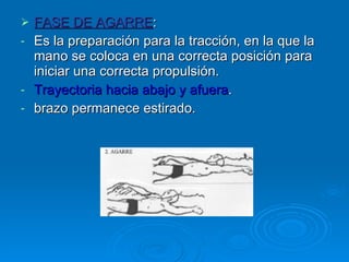 FASE DE AGARRE :  Es la preparación para la tracción, en la que la mano se coloca en una correcta posición para iniciar una correcta propulsión. Trayectoria hacia abajo y afuera . brazo permanece estirado. 
