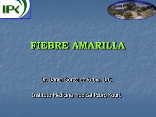 FIEBRE AMARILLA
Dr. Daniel González Rubio. DrC.
Instituto Medicina Tropical Pedro Kourí.
 