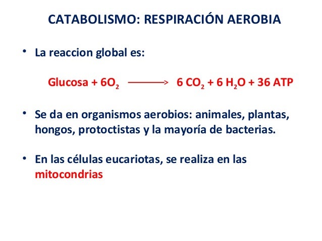 Tema 7 funciones celulares ea tttt
