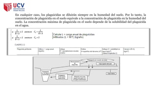 En cualquier caso, los plaguicidas se diluirán siempre en la humedad del suelo. Por lo tanto, la
concentración de plaguicida en el suelo equivale a la concentración de plaguicida en la humedad del
suelo. La concentración máxima de plaguicida en el suelo depende de la solubilidad del plaguicida
en el agua.
 