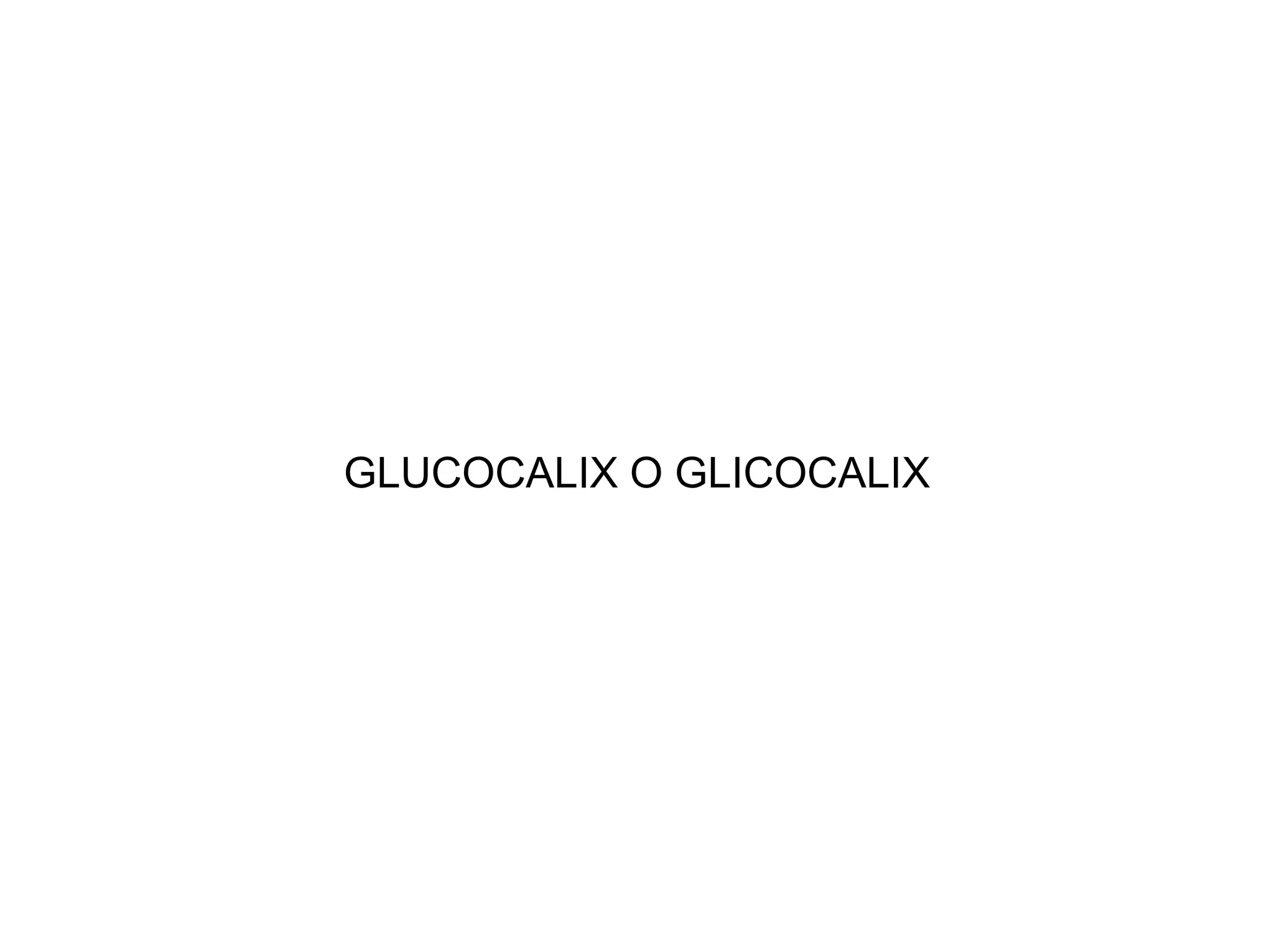 GLUCOCALIX O GLICOCALIX
 