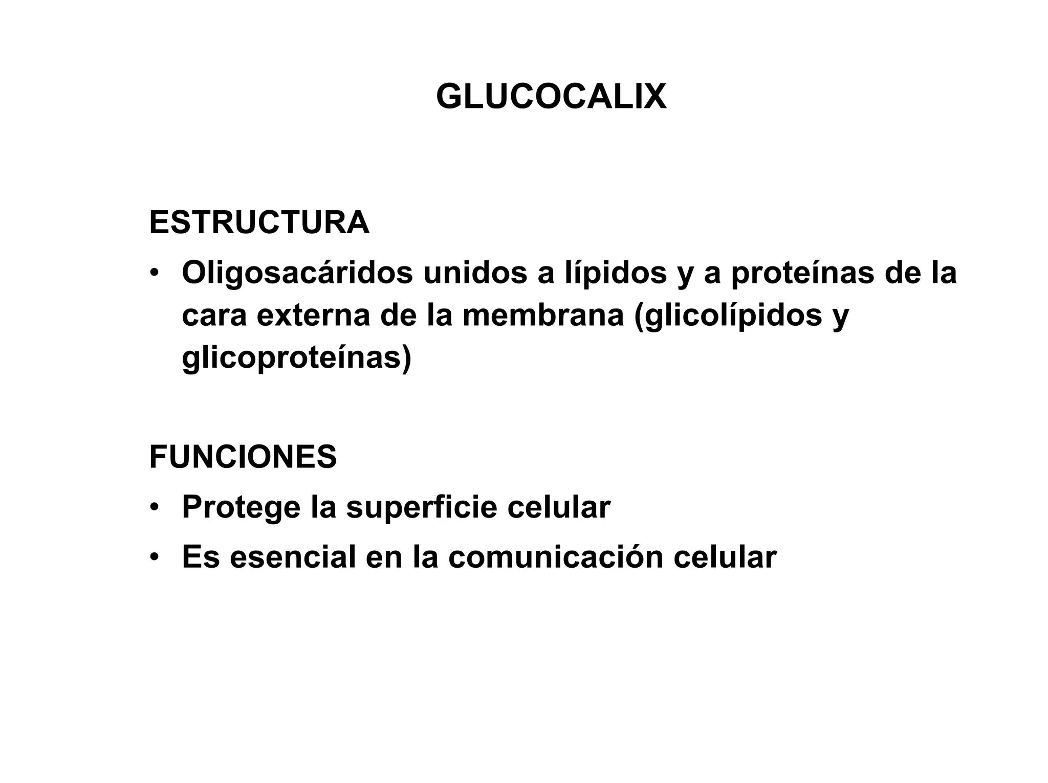 GLUCOCALIX


ESTRUCTURA
• Oligosacáridos unidos a lípidos y a proteínas de la
  cara externa de la membrana (glicolípidos y
  glicoproteínas)


FUNCIONES
• Protege la superficie celular
• Es esencial en la comunicación celular
 