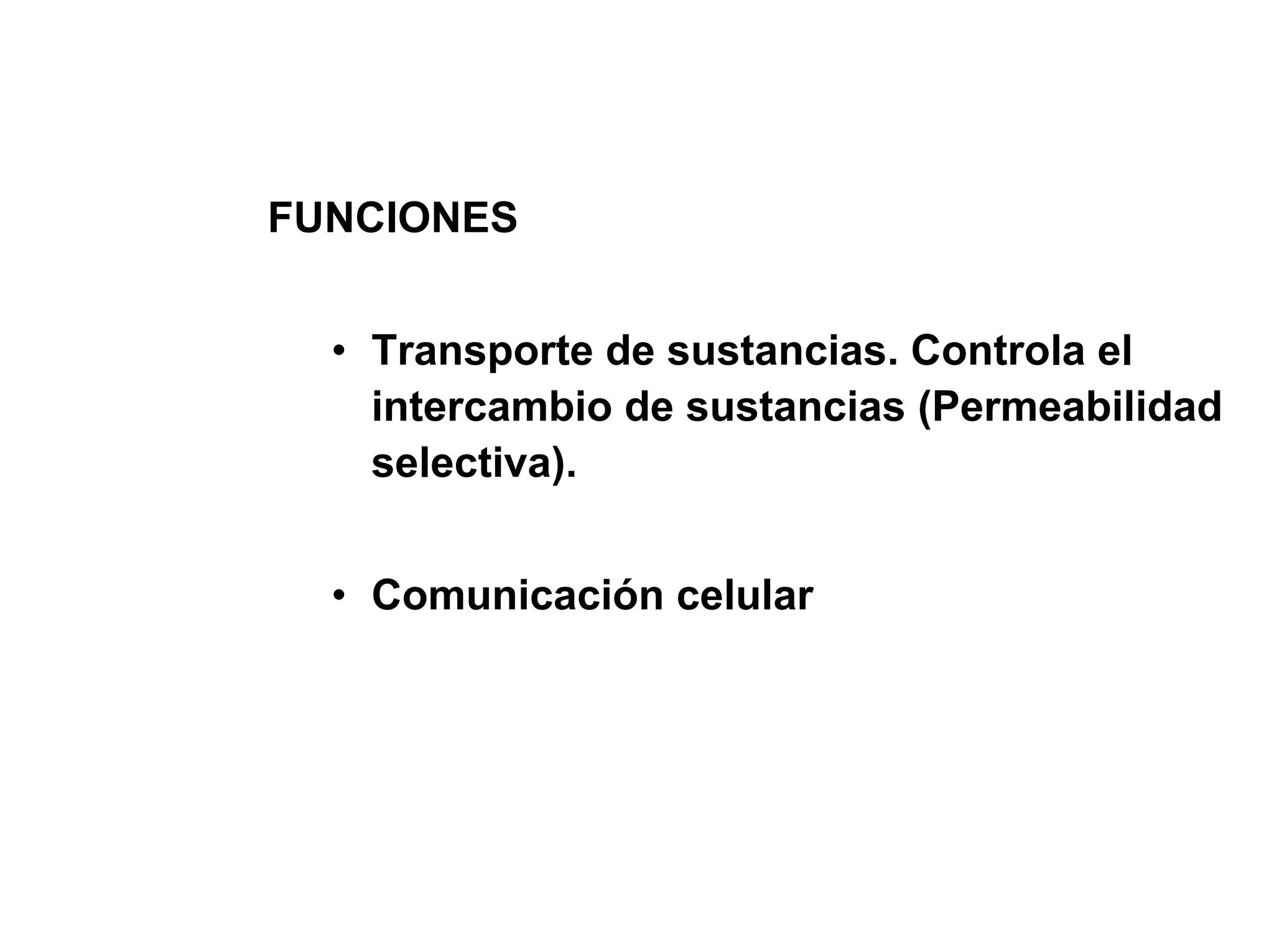 FUNCIONES


  • Transporte de sustancias. Controla el
    intercambio de sustancias (Permeabilidad
    selectiva).


  • Comunicación celular
 