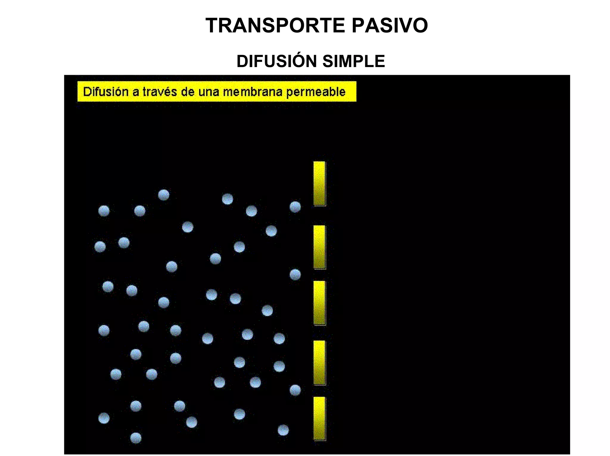 TRANSPORTE PASIVO
  DIFUSIÓN SIMPLE
 