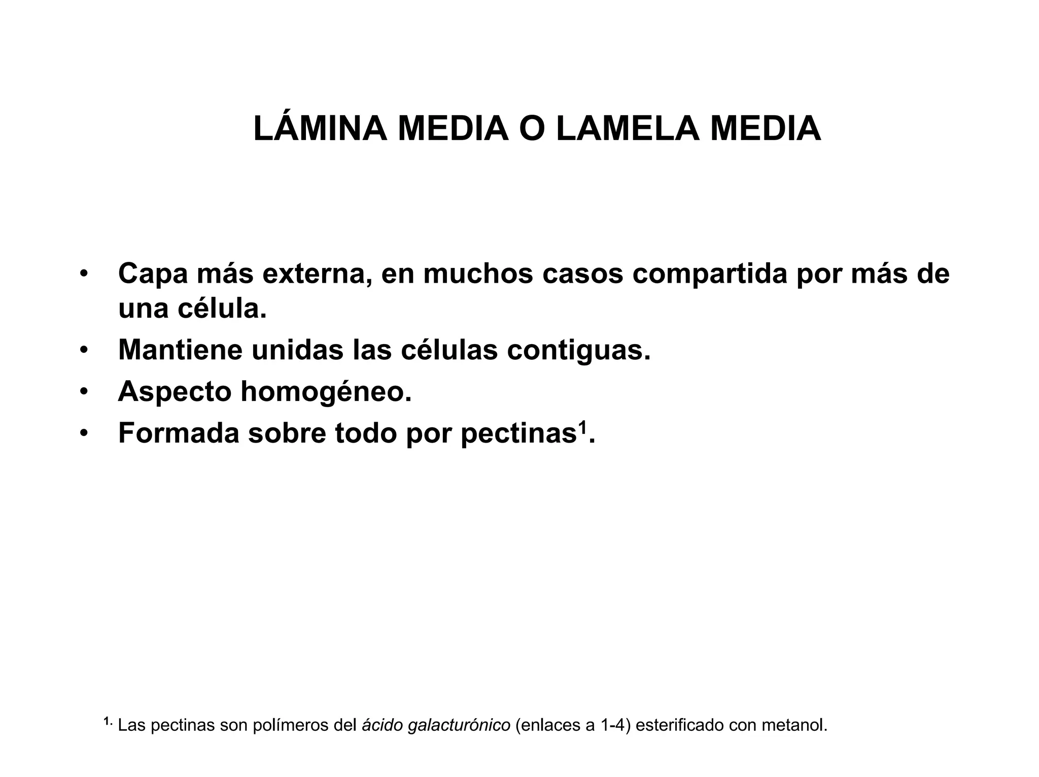 LÁMINA MEDIA O LAMELA MEDIA



•        Capa más externa, en muchos casos compartida por más de
         una célula.
•        Mantiene unidas las células contiguas.
•        Aspecto homogéneo.
•        Formada sobre todo por pectinas1.




    1.
         Las pectinas son polímeros del ácido galacturónico (enlaces a 1-4) esterificado con metanol.
 