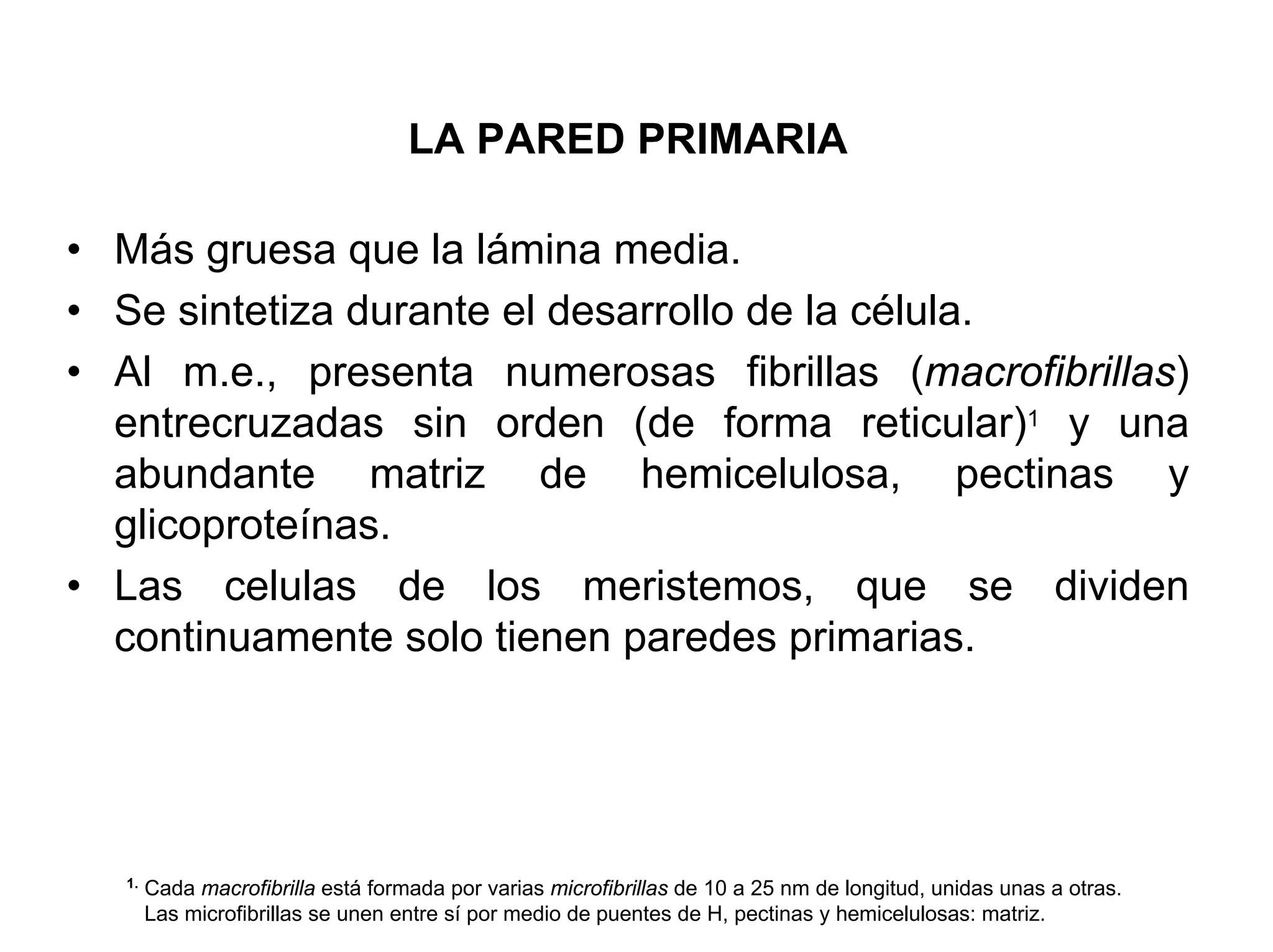 LA PARED PRIMARIA

• Más gruesa que la lámina media.
• Se sintetiza durante el desarrollo de la célula.
• Al m.e., presenta numerosas fibrillas (macrofibrillas)
  entrecruzadas sin orden (de forma reticular)1 y una
  abundante matriz de hemicelulosa, pectinas y
  glicoproteínas.
• Las celulas de los meristemos, que se dividen
  continuamente solo tienen paredes primarias.




   1.
        Cada macrofibrilla está formada por varias microfibrillas de 10 a 25 nm de longitud, unidas unas a otras.
        Las microfibrillas se unen entre sí por medio de puentes de H, pectinas y hemicelulosas: matriz.
 
