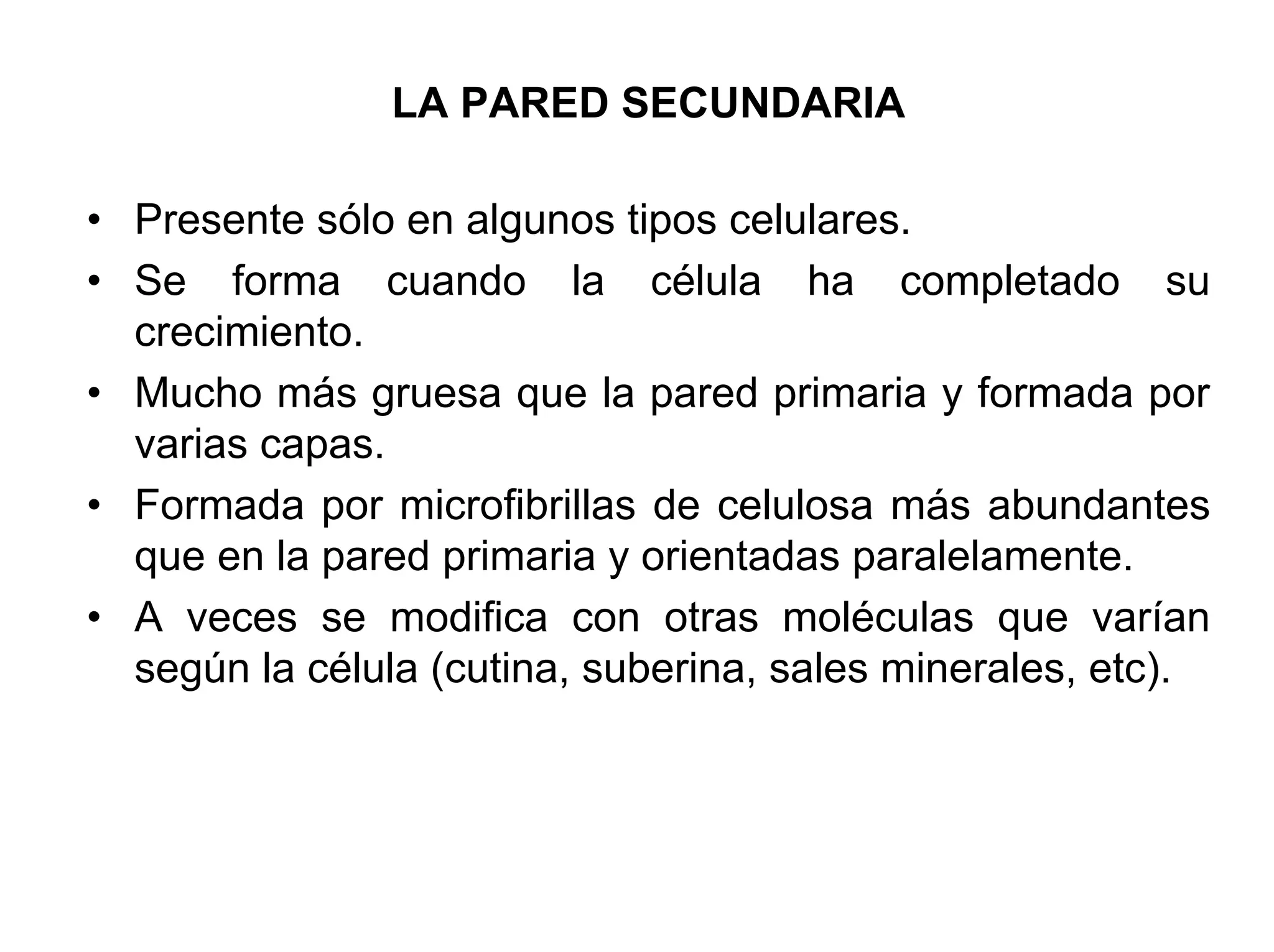 LA PARED SECUNDARIA

• Presente sólo en algunos tipos celulares.
• Se forma cuando la célula ha completado su
  crecimiento.
• Mucho más gruesa que la pared primaria y formada por
  varias capas.
• Formada por microfibrillas de celulosa más abundantes
  que en la pared primaria y orientadas paralelamente.
• A veces se modifica con otras moléculas que varían
  según la célula (cutina, suberina, sales minerales, etc).
 