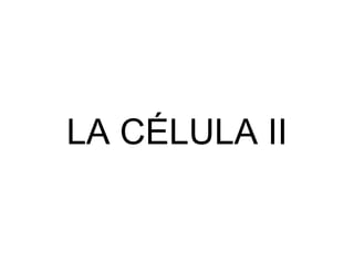 LA CÉLULA II
 