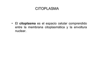 CITOPLASMA



• El citoplasma es el espacio celular comprendido
  entre la membrana citoplasmática y la envoltura
  nuclear.
 