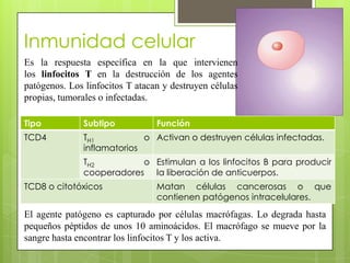 BIBLIOGRAFÍA
http://www.ecured.cu/index.php/Inmunidad_(Medicina)
http://es.wikipedia.org/wiki/Sistema_inmunitario
http://w...