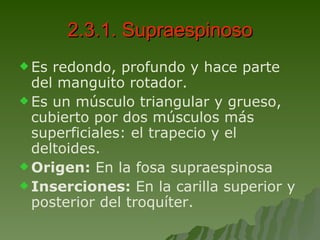 2.3.1. Supraespinoso Es redondo, profundo y hace parte del manguito rotador. Es un músculo triangular y grueso, cubierto por dos músculos más superficiales: el trapecio y el deltoides. Origen:  En la fosa supraespinosa Inserciones:  En la carilla superior y posterior del troquíter. 