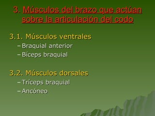 3.  Músculos del brazo que actúan sobre la articulación del codo 3.1. Músculos ventrales Braquial anterior Bíceps braquial 3.2. Músculos dorsales Tríceps braquial Ancóneo 