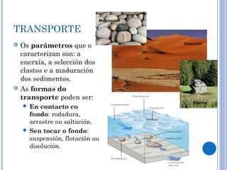 Maduración

TRANSPORTE
   Os parámetros que o                     Selección

    caracterizan son: a
    enerxía, a selección dos
    clastos e a maduración
    dos sedimentos.
   As formas do
    transporte poden ser:
                                                Enerxía
     En contacto co
      fondo: rodadura,
      arrastre ou saltación.
     Sen tocar o fondo:
      suspensión, flotación ou
      disolución.
 