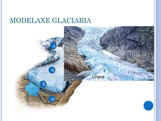 MODELAXE GLACIARIA


           A



                              C
           B
                     Lingua
       E


           D
 